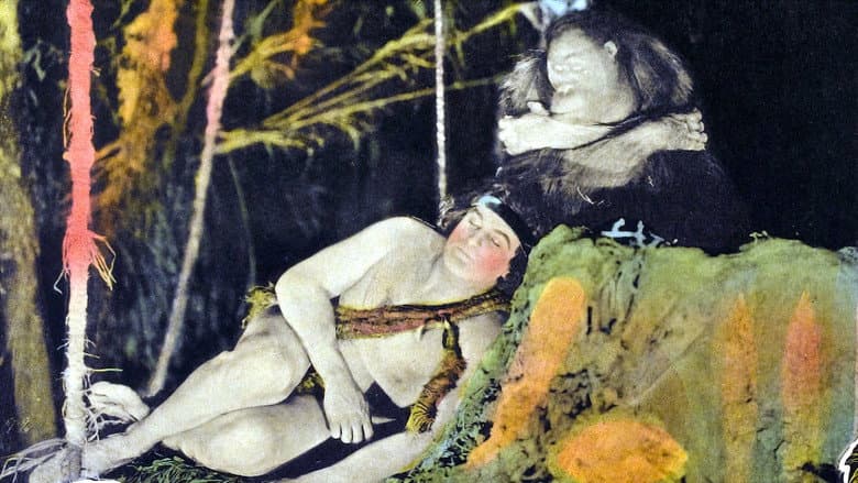 Backdrop from The Adventures of Tarzan