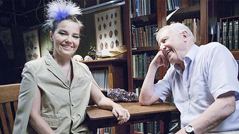 Backdrop from When Björk Met Attenborough