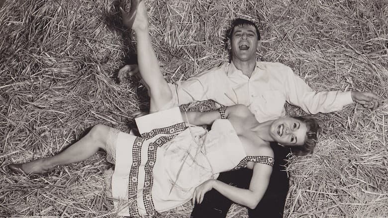 Backdrop from The Mating Game