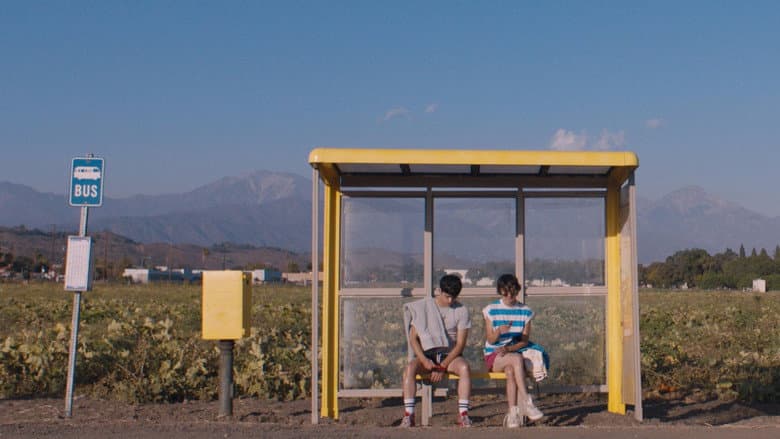 Backdrop from Aristotle and Dante Discover the Secrets of the Universe