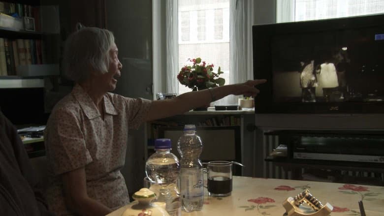 Backdrop from Golden Memories (Petite Histoire of Indonesian Cinema)