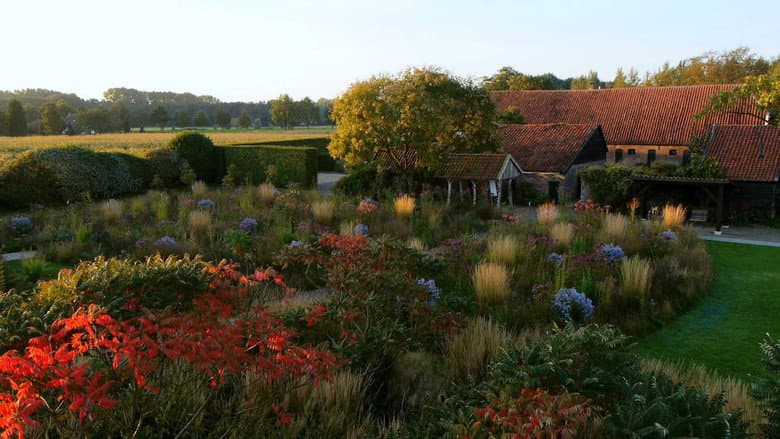 Backdrop from Five Seasons: The Gardens of Piet Oudolf