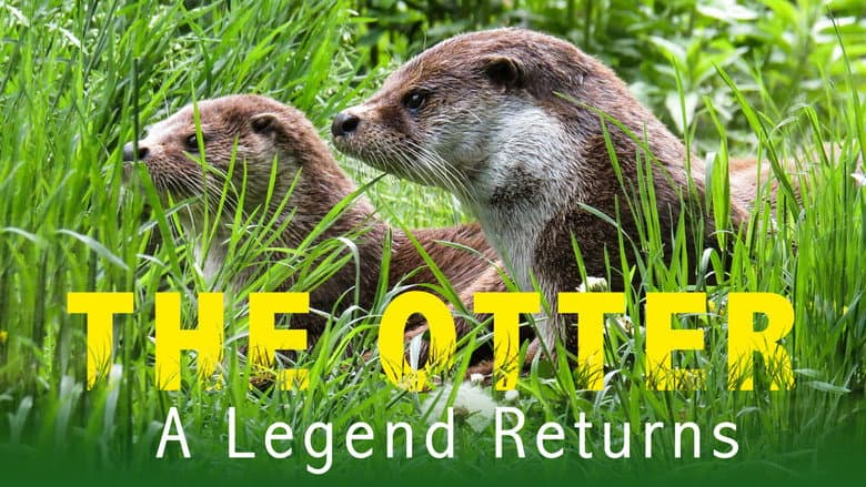 Backdrop from The otter, a legend returns