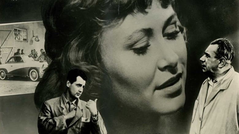 Backdrop from They All Knew Each Other