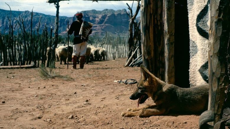 Backdrop from Concho, the Coyote Who Wasn't