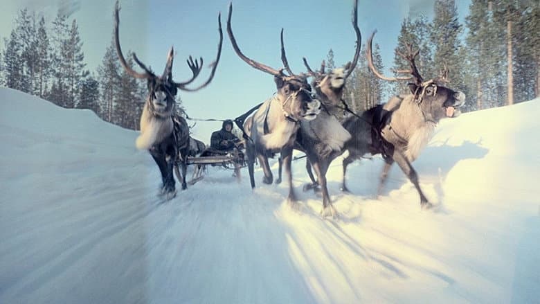 Backdrop from Cinerama's Russian Adventure