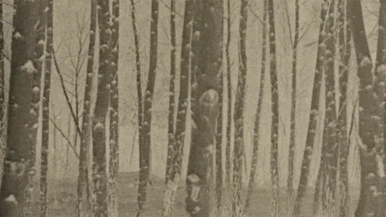 Backdrop from Film Dedicated to Water and Trees
