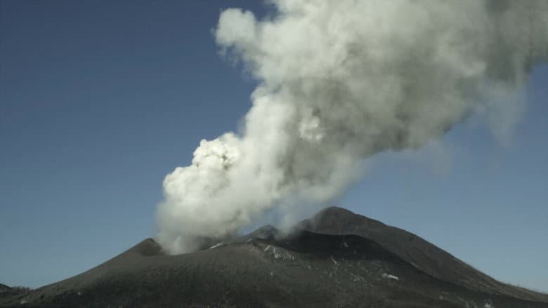 Backdrop from Survivre aux catastrophes, les stratégies de la nature