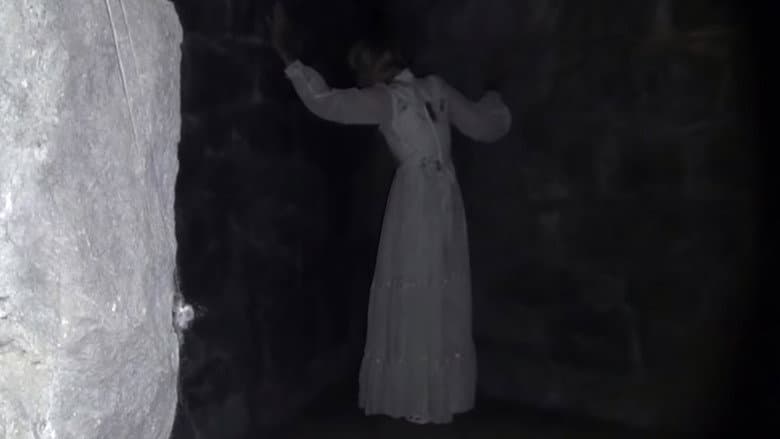 Backdrop from The Blair Witch Legacy
