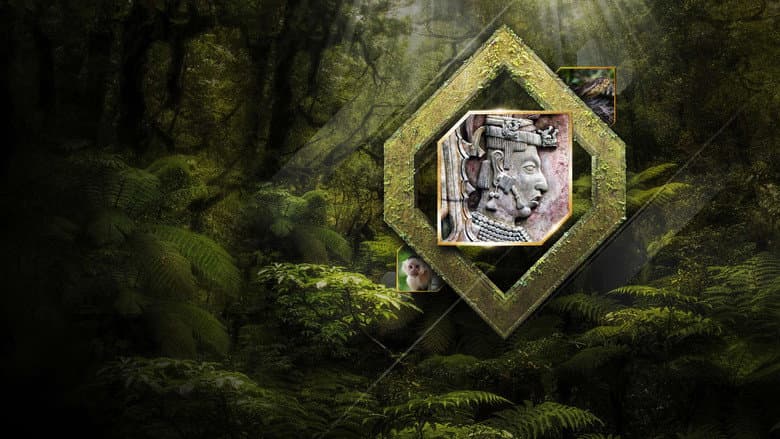 Кадр із фільму «The Lost City of the Monkey God»