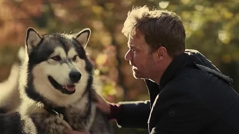 Backdrop from Hero Dog: The Journey Home