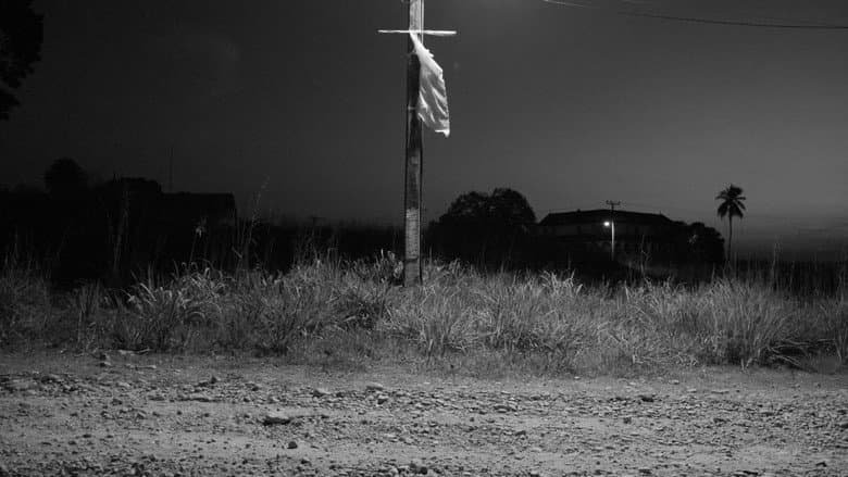 Backdrop from Fordlandia Malaise
