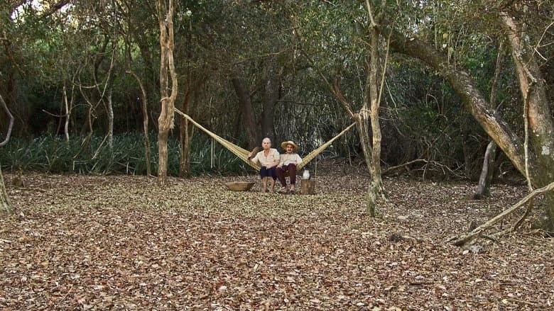 Backdrop from Paraguayan Hammock
