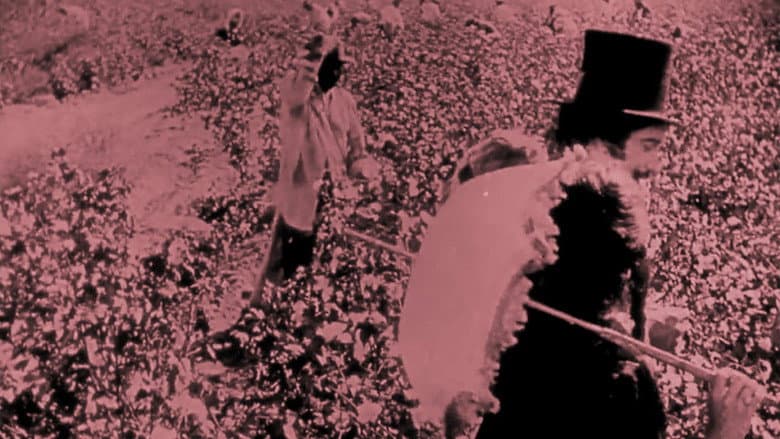 Backdrop from Birth of a Nation