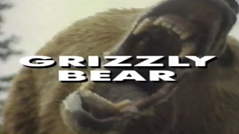 Backdrop from Predators of the Wild: Grizzly Bear