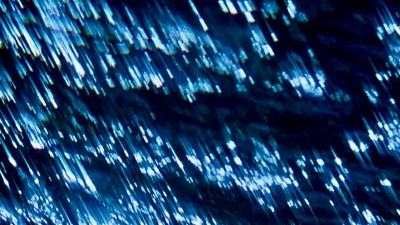 Backdrop from Comingled Containers