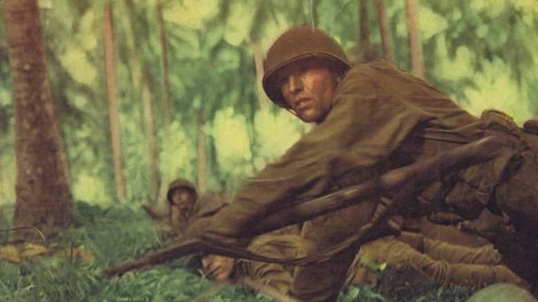 Backdrop from Attack! The Battle for New Britain