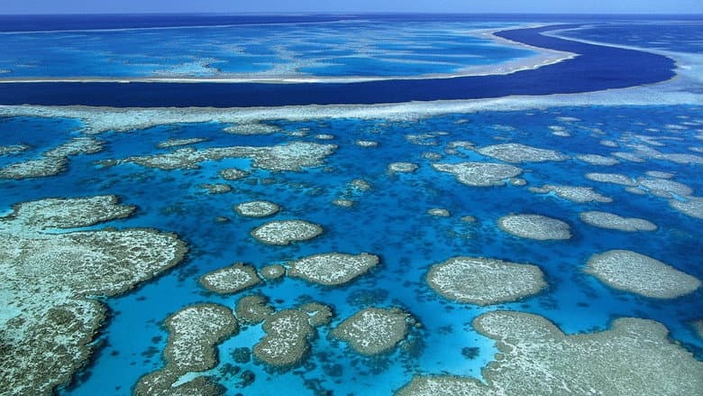 Backdrop from Billy Connolly's World Tour of Australia