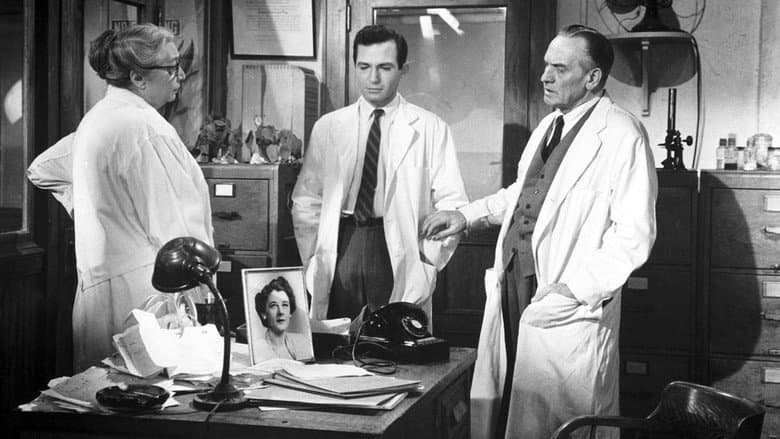 Backdrop from The Young Doctors