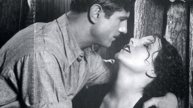 Backdrop from Bewitching Kisses