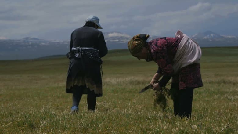 Backdrop from Village of Women