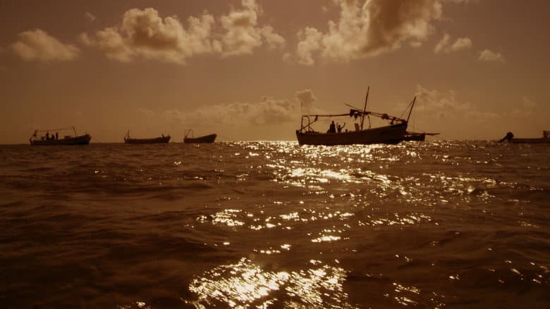 Backdrop from Pirating Pirates