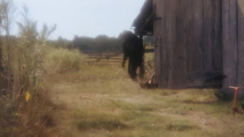 Кадр із фільму «Boggy Creek II: And the Legend Continues»