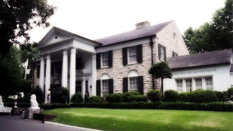 Backdrop from Finding Graceland