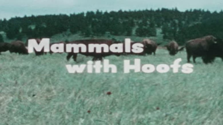 Backdrop from Mammals With Hoofs