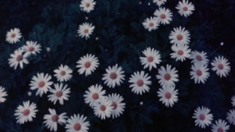 Backdrop from Offering