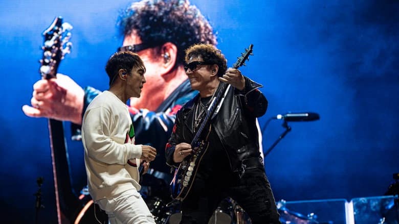 Backdrop from Journey - Live in concert at Lollapalooza