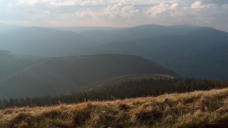 Backdrop from Zpět k pramenům