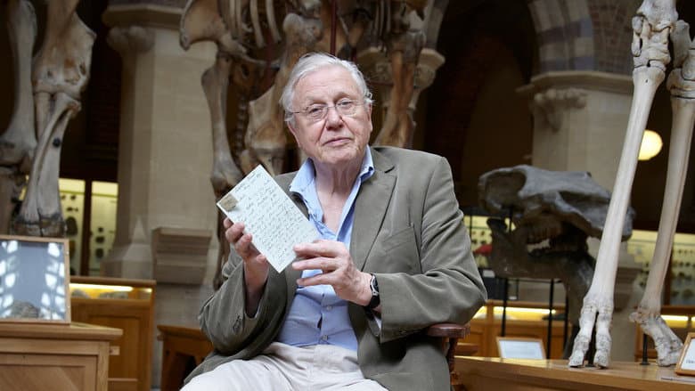 Backdrop from David Attenborough's Natural Curiosities