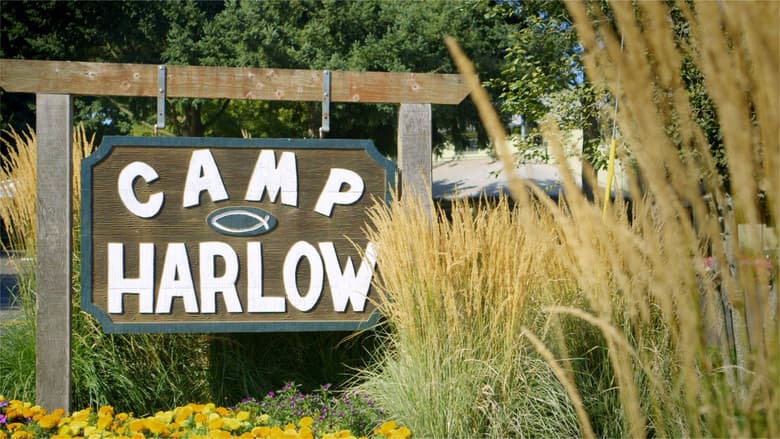 Backdrop from Camp Harlow