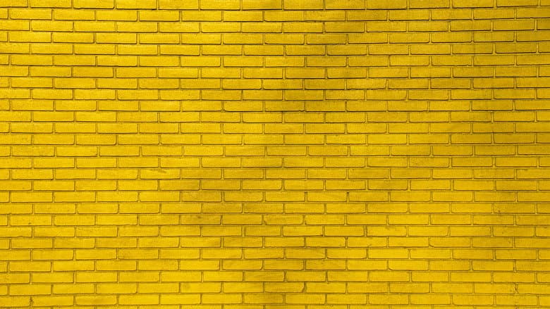 Backdrop from Walls For Women