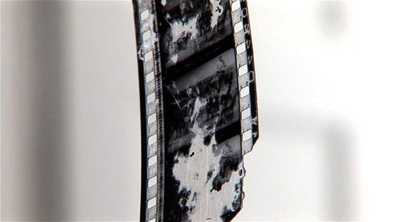 Backdrop from The Story of Film: An Odyssey