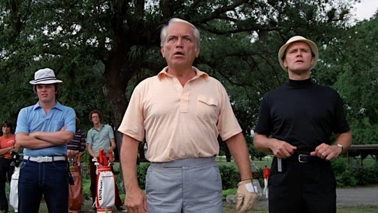 Backdrop from Caddyshack: The 19th Hole