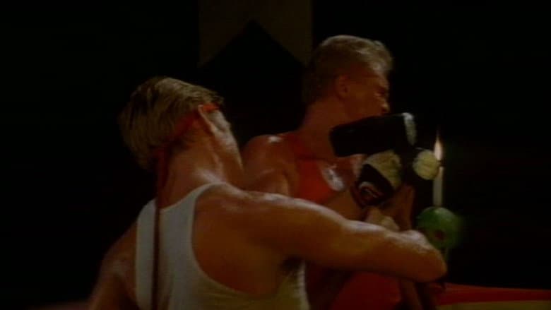 Backdrop from Zodiac Power 3: Kickboxer from Hell