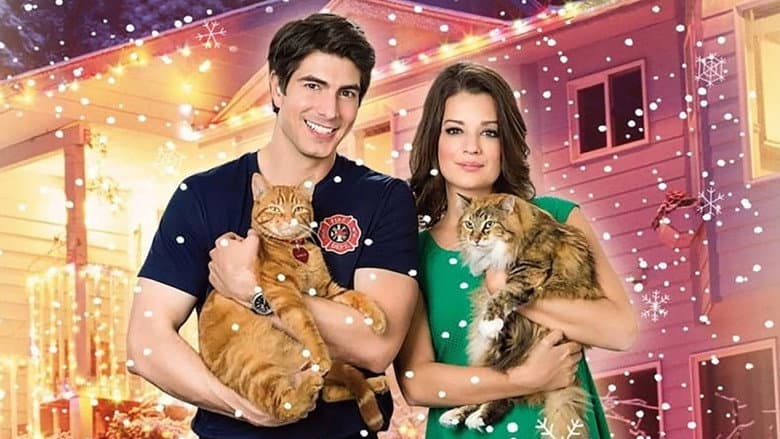 Backdrop from The Nine Lives of Christmas