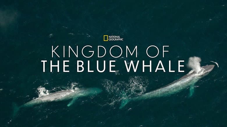 Backdrop from Kingdom of the Blue Whale