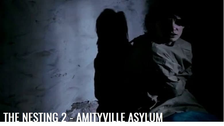 Backdrop from The Amityville Asylum