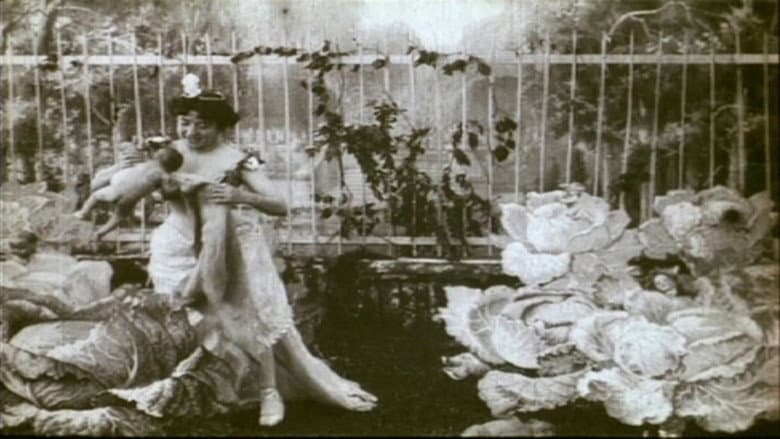Backdrop from The Cabbage-Patch Fairy