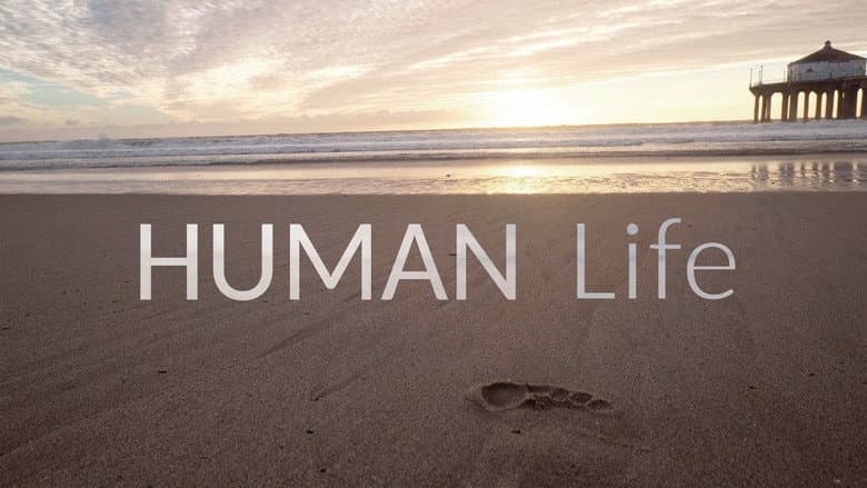 Backdrop from Human Life