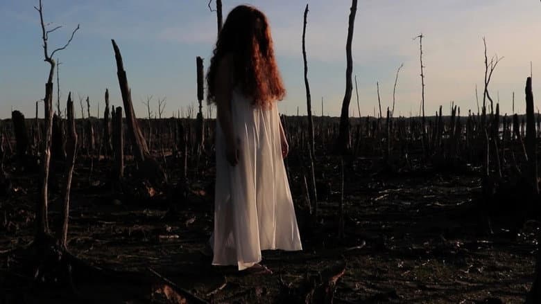 Backdrop from The Girl in the Cornfield