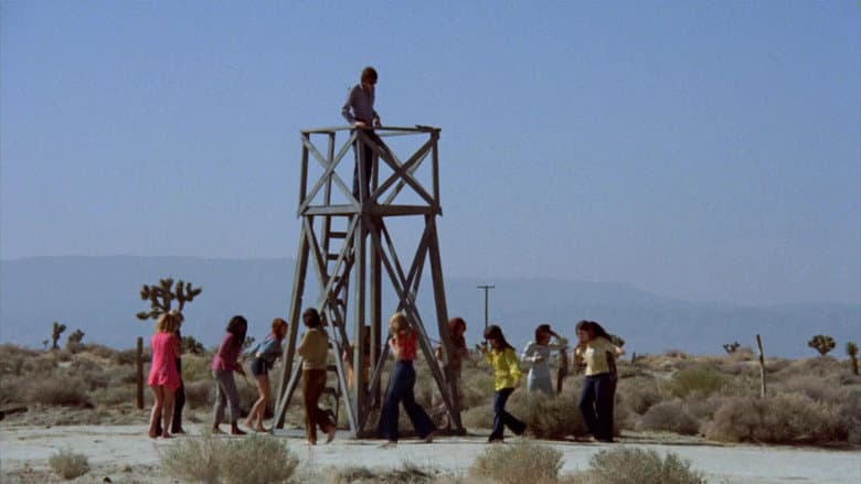 Backdrop from Barn of the Naked Dead