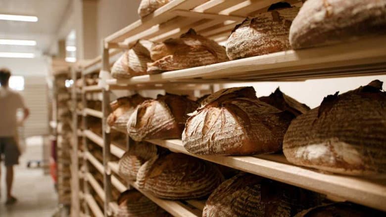Backdrop from Bread: An Everyday Miracle