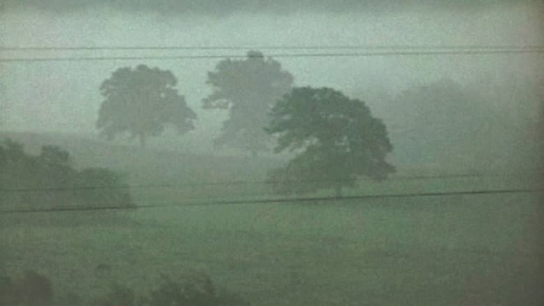Backdrop from Fog Line