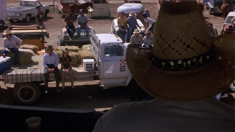 Backdrop from Murphy's Romance