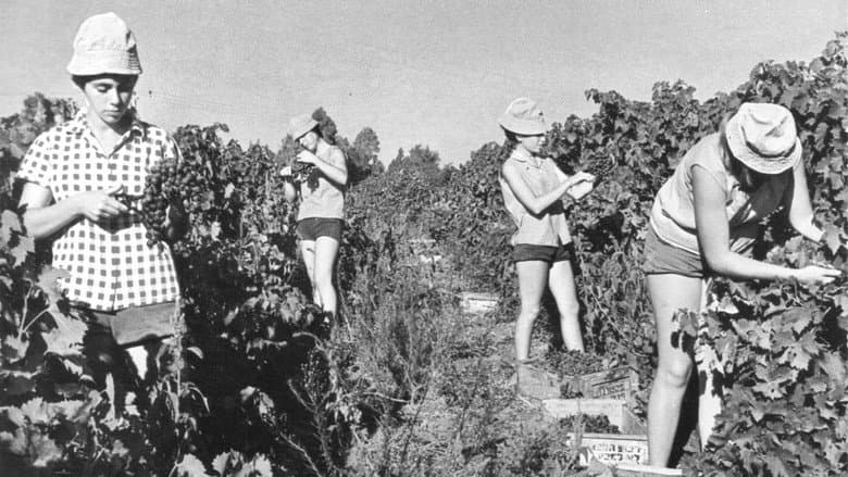 Backdrop from Generació Kibbutz