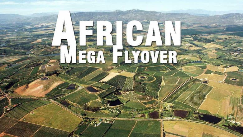 Backdrop from African Megaflyover